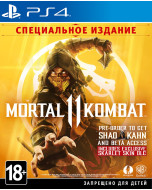 Mortal Kombat 11 (XI) Специальное Издание (PS4)